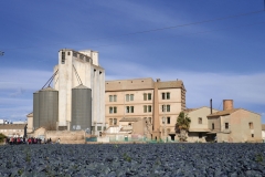 Molí d'Alfara del Patriarca
