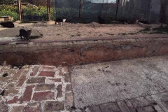Antic llavador de Mirambell