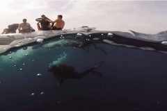 tressors_marins_1