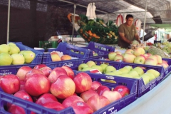 mercat_dimecres_1